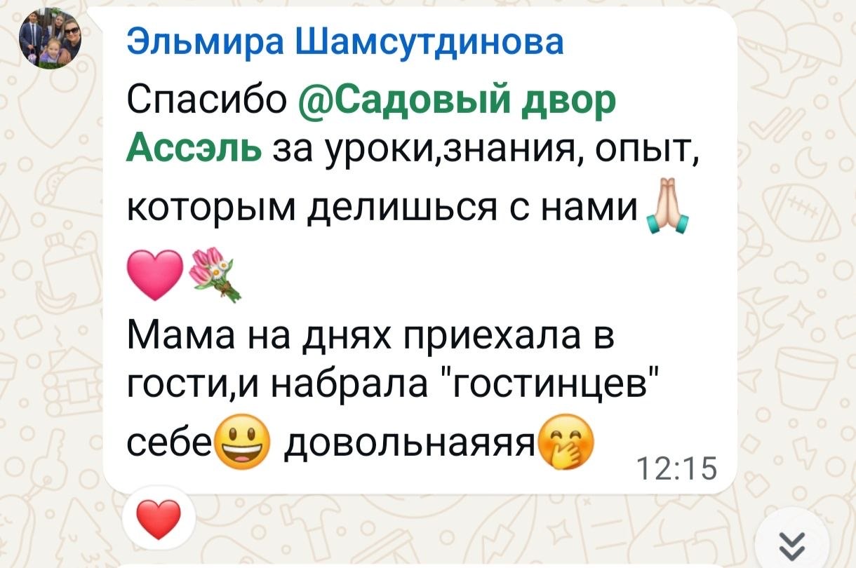 Отзыв ученика