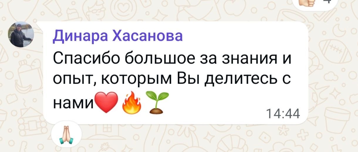 Отзыв ученика