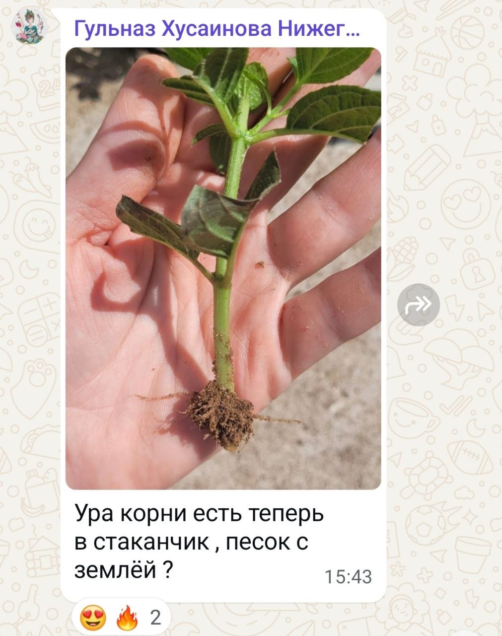 Отзыв ученика